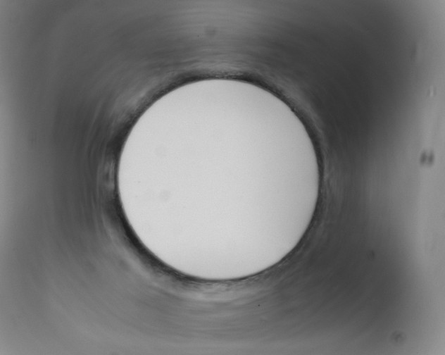 X0000112150021200909041114