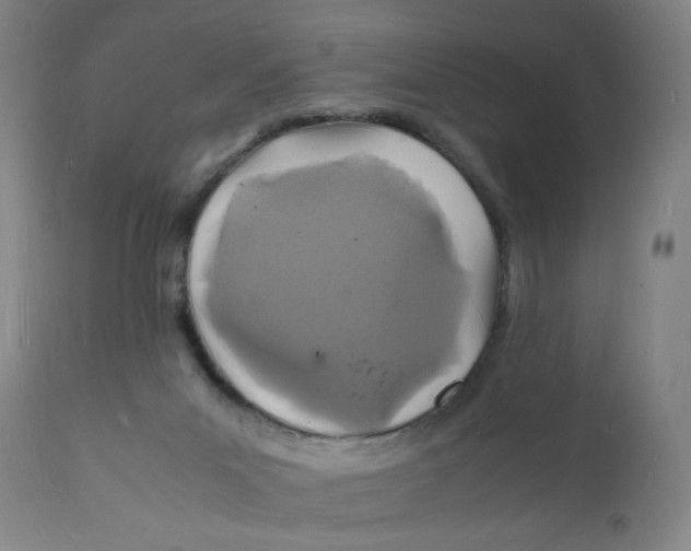 X0000112150023200909041114