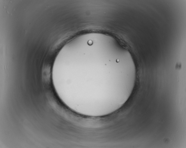 X0000112150024200909041114