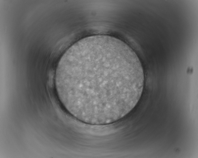 X0000112150026200909041114