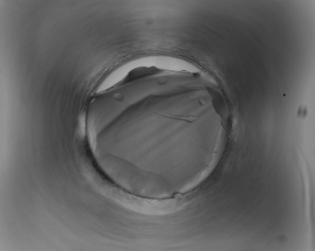 X0000112150027200909041114