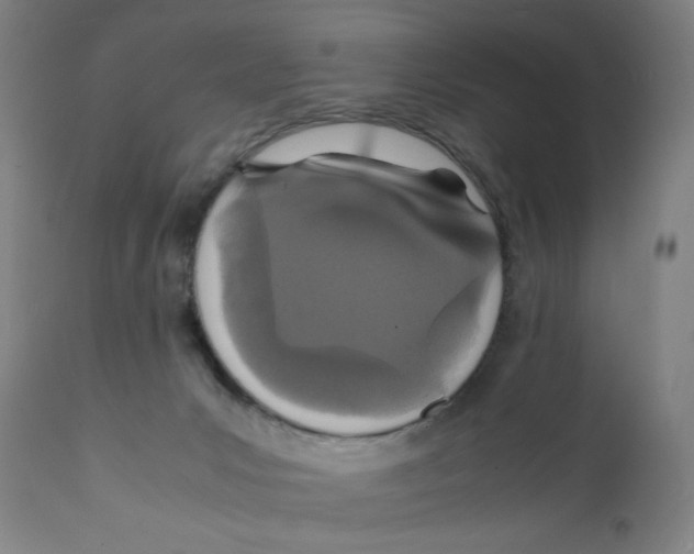 X0000112150031200909041114