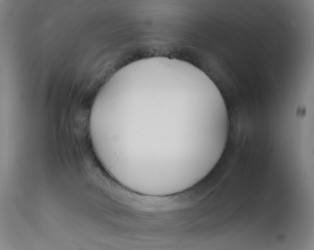 X0000112150034200909041114