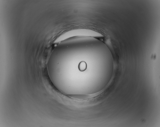 X0000112150039200909041114