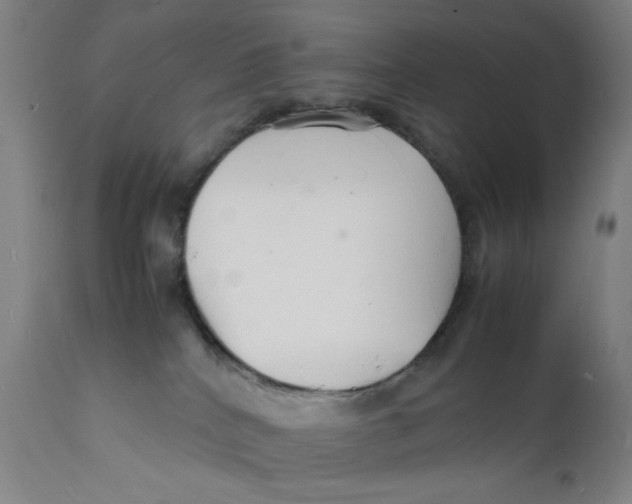 X0000112150040200909041114