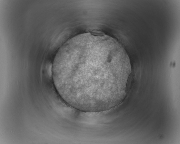 X0000112150041200909041114