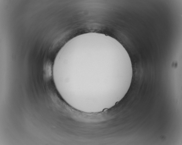 X0000112150042200909041114