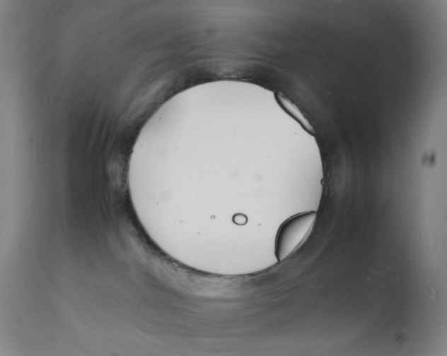 X0000112150044200909041114