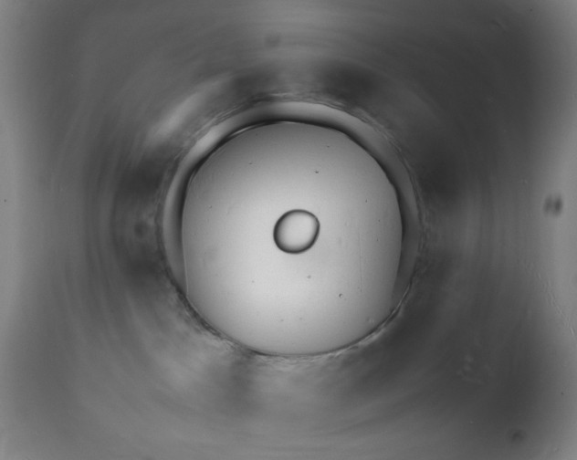 X0000112150045200909041114