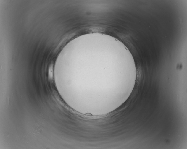 X0000112150046200909041114