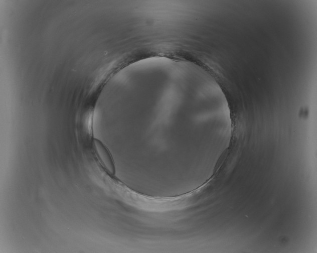 X0000112150047200909041113