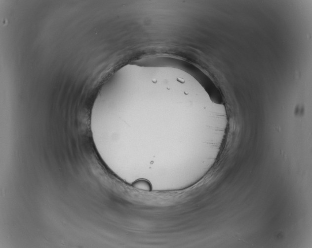 X0000112150048200909041113