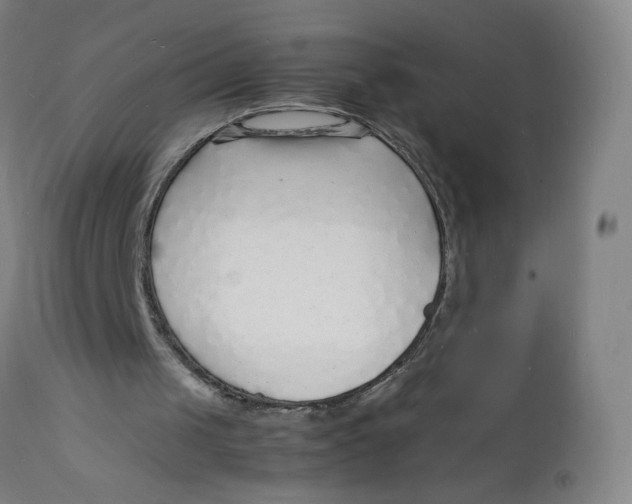 X0000112150049200909041113