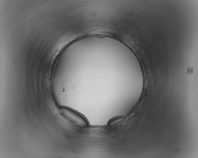 X0000112150050200909041113