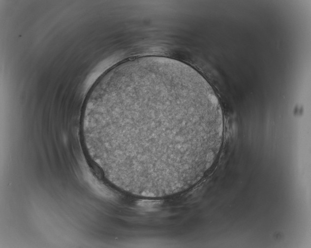 X0000112150051200909041113