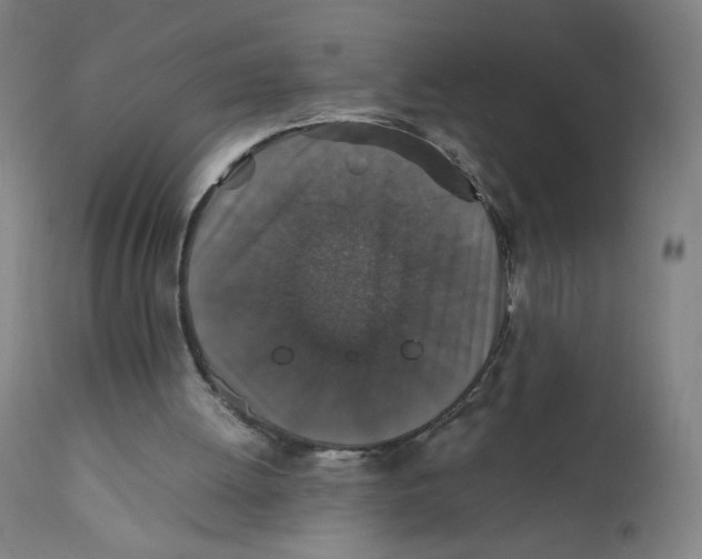 X0000112150052200909041113