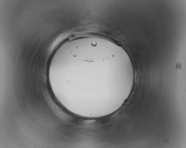 X0000112150054200909041113