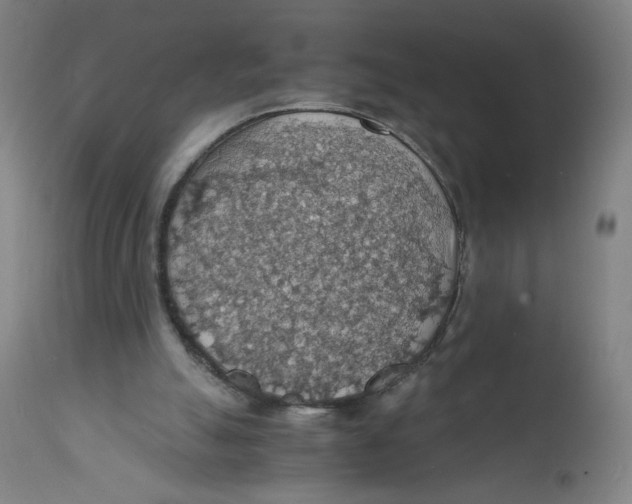 X0000112150055200909041113