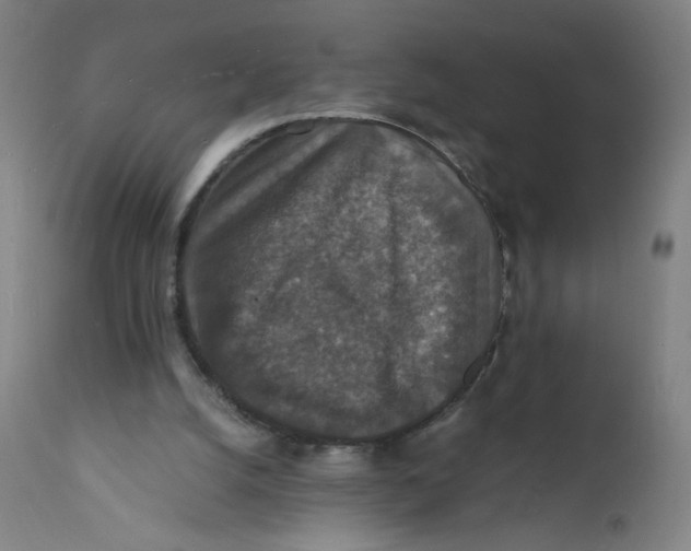 X0000112150056200909041113