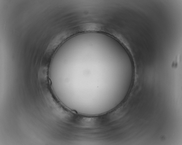 X0000112150057200909041113