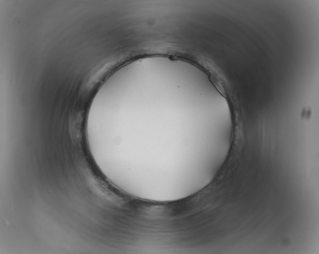 X0000112150058200909041113