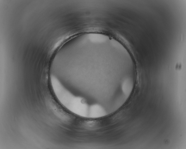 X0000112150059200909041113