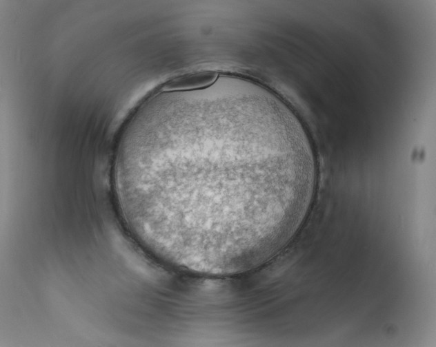 X0000112150060200909041113