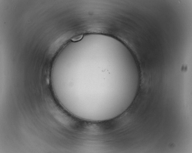 X0000112150062200909041113