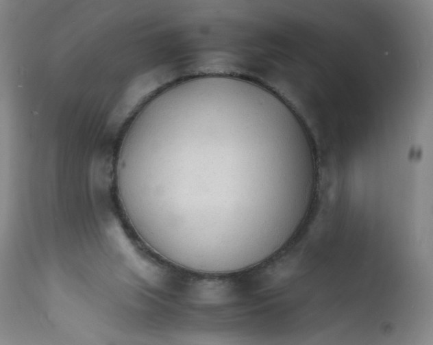 X0000112150063200909041113