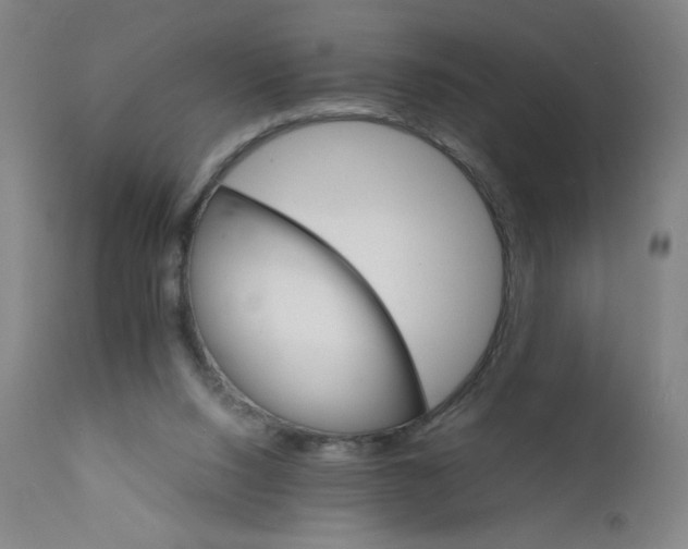 X0000112150064200909041113