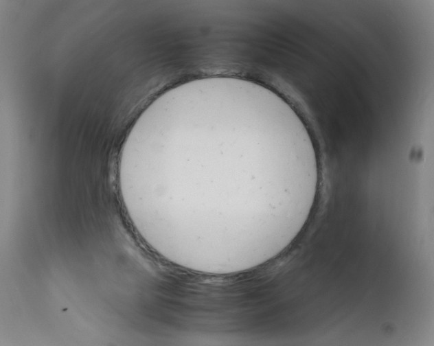 X0000112150065200909041113