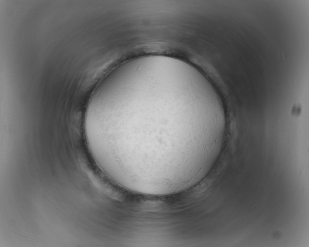 X0000112150066200909041113