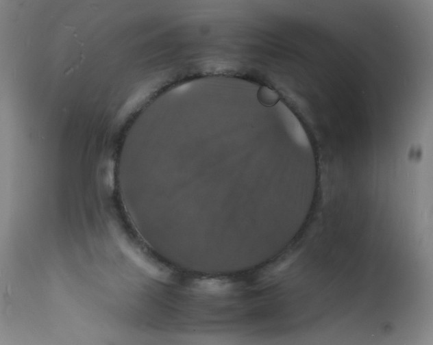 X0000112150067200909041113