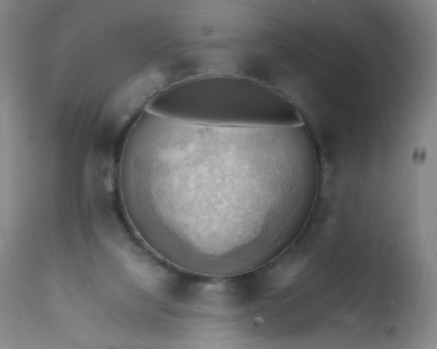 X0000112150068200909041113