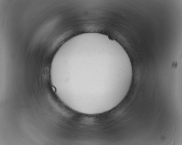 X0000112150071200909041113