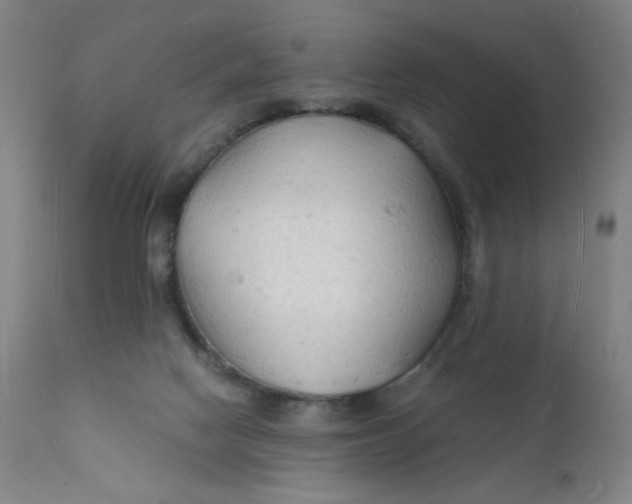 X0000112150074200909041113