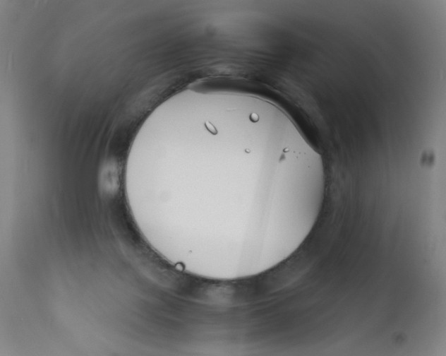 X0000112150075200909041113