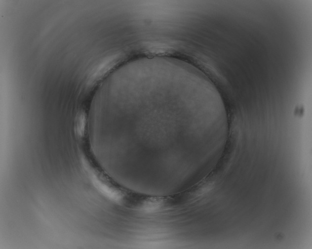 X0000112150076200909041113