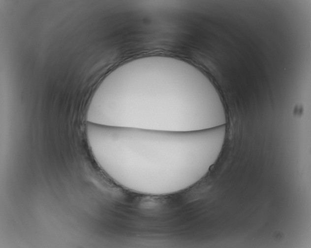 X0000112150077200909041113