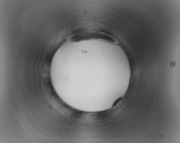 X0000112150078200909041113