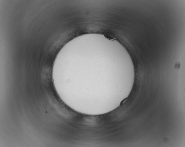 X0000112150079200909041113