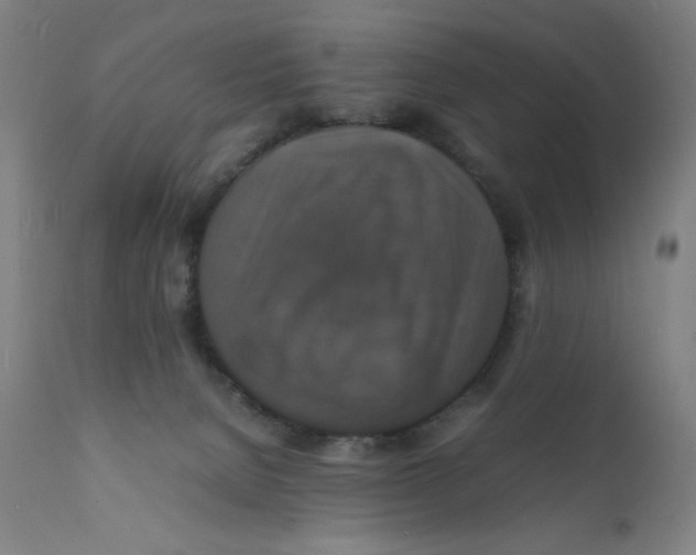 X0000112150080200909041113