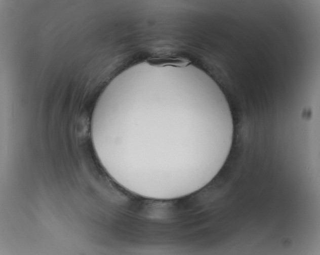 X0000112150081200909041113