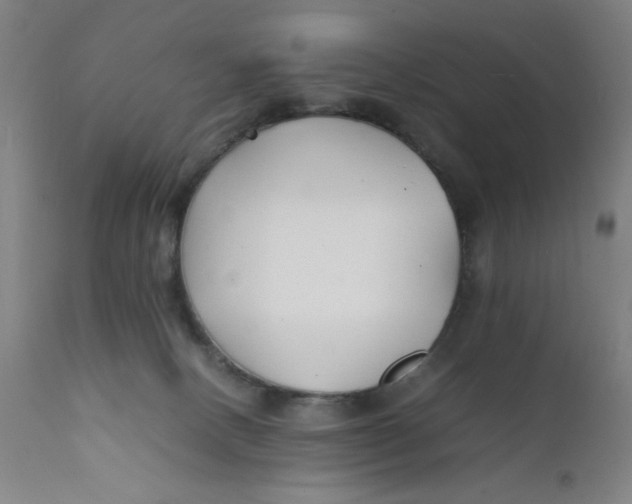 X0000112150082200909041113