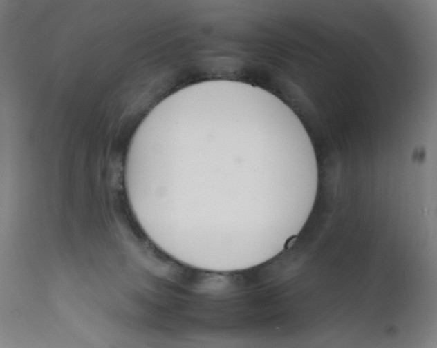 X0000112150083200909041113