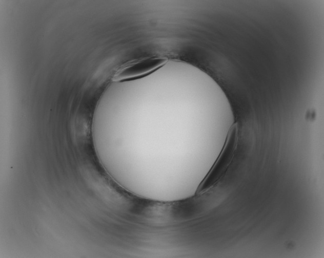 X0000112150084200909041113