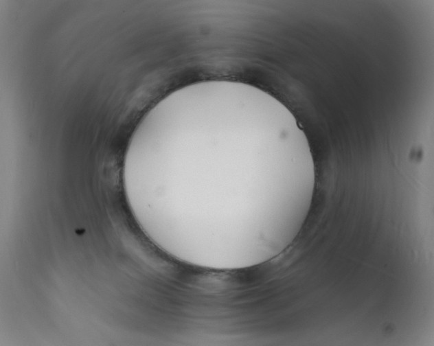 X0000112150086200909041113