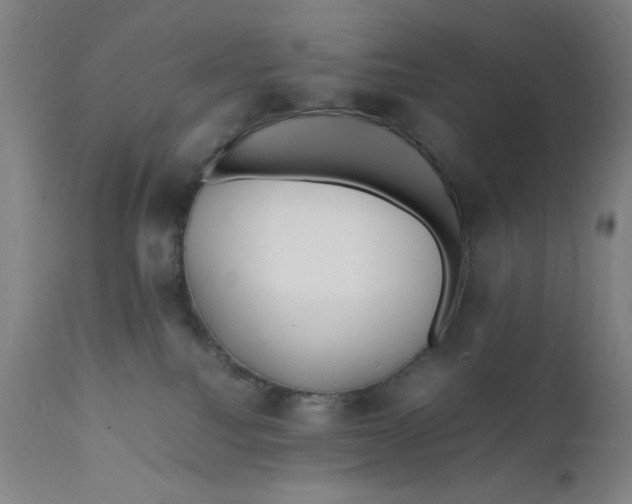 X0000112150088200909041113