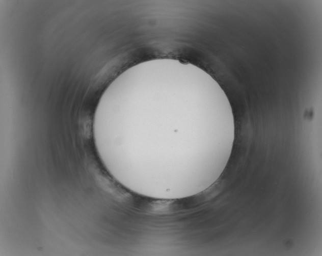 X0000112150090200909041113