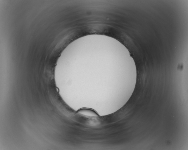 X0000112150091200909041113